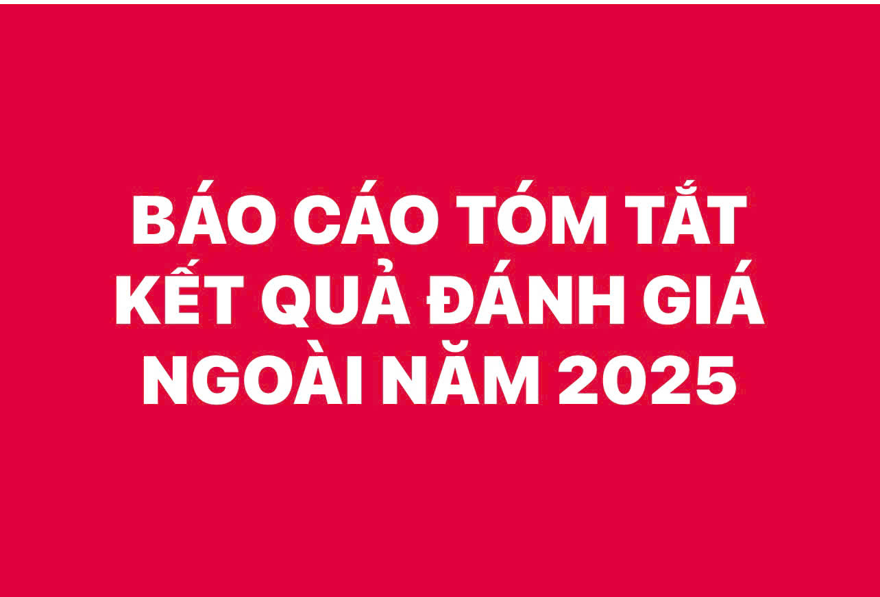 BÁO CÁO TÓM TẮT KẾT QUẢ ĐÁNH GIÁ NGOÀI NĂM 2025