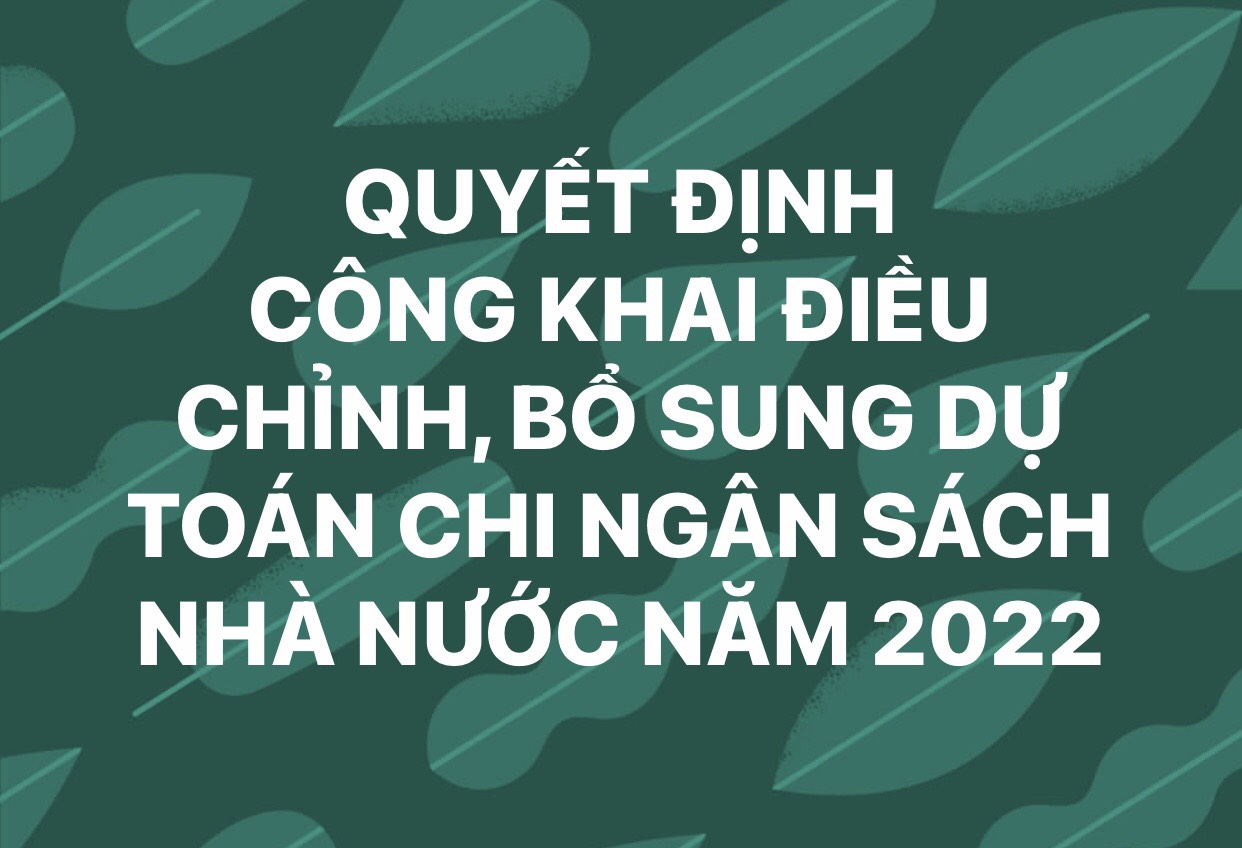 Quyết định về việc công bố công khai điều chỉnh, bổ sung dự toán chi ngân sách nhà nước năm 2022