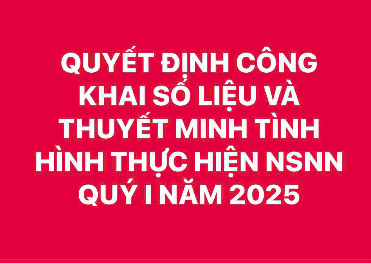 QUYẾT ĐỊNH VỀ VIỆC CÔNG BỐ CÔNG KHAI SỐ LIỆU VÀ THUYẾT MINH TÌNH HÌNH THỰC HIỆN DỰ TOÁN NSNN QUÝ I NĂM 2025